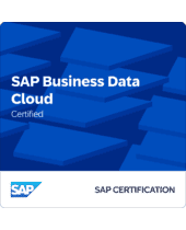 SAP_BDA (1).png